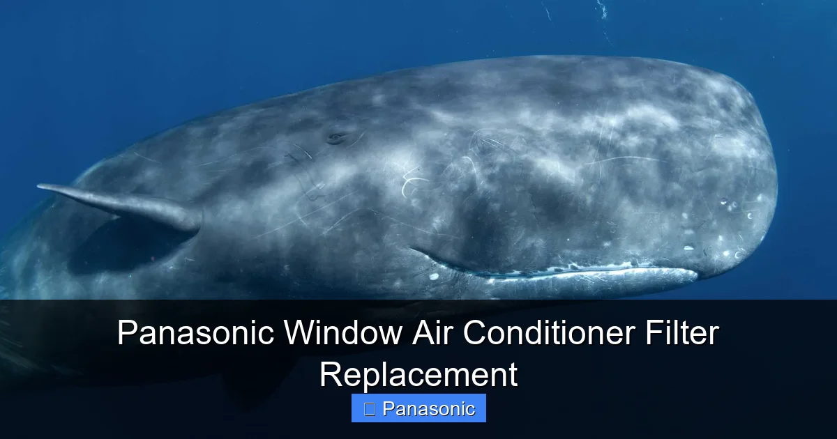 Panasonic Window Air Conditioner Filter Replacement