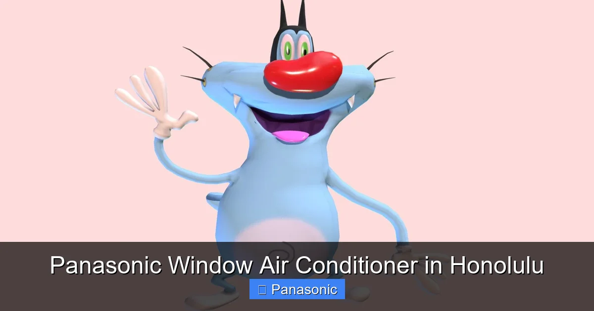 Panasonic Window Air Conditioner in Honolulu