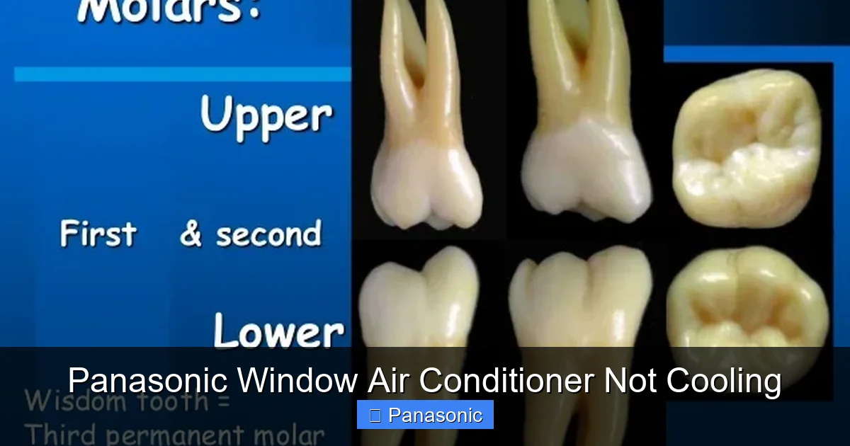 Panasonic Window Air Conditioner Not Cooling