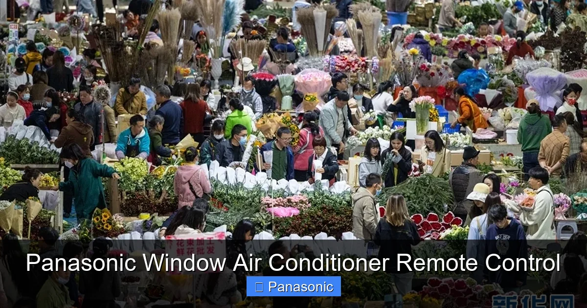 Panasonic Window Air Conditioner Remote Control