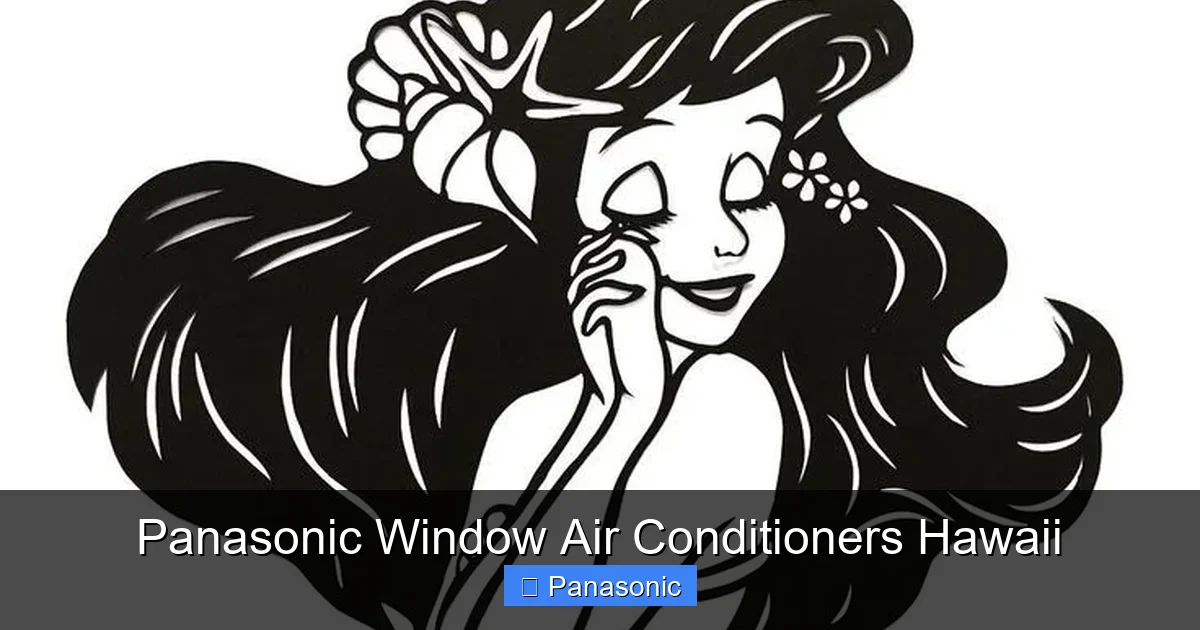 Panasonic Window Air Conditioners Hawaii