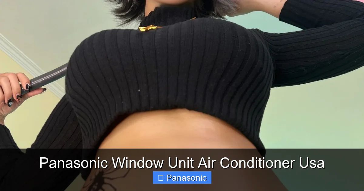 Panasonic Window Unit Air Conditioner Usa