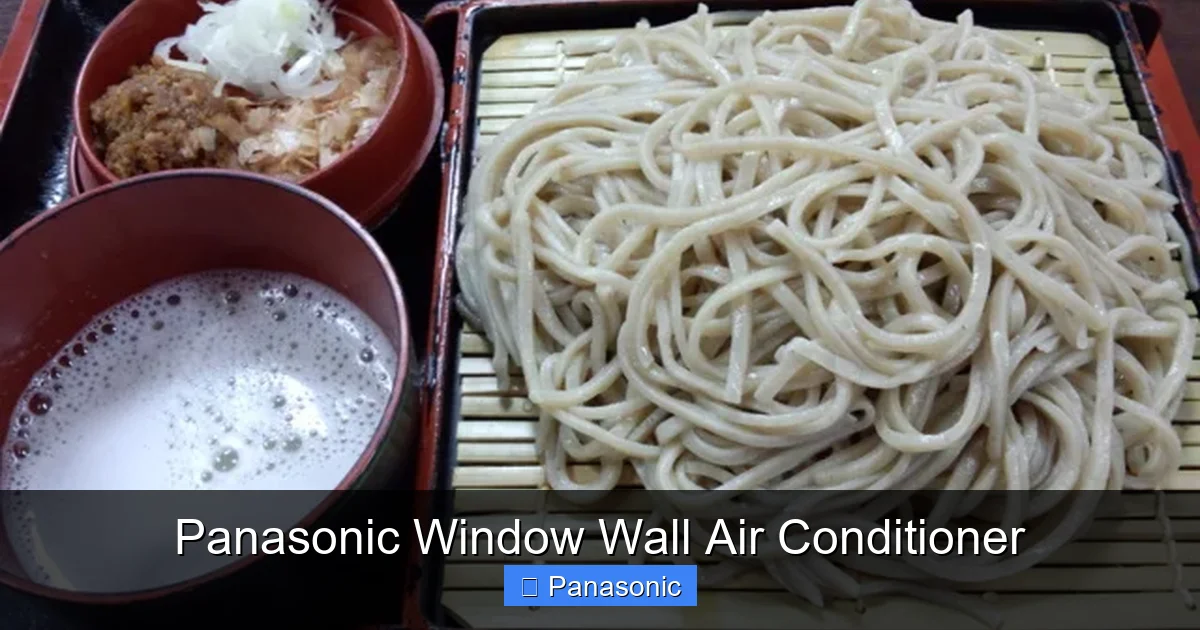 Panasonic Window Wall Air Conditioner