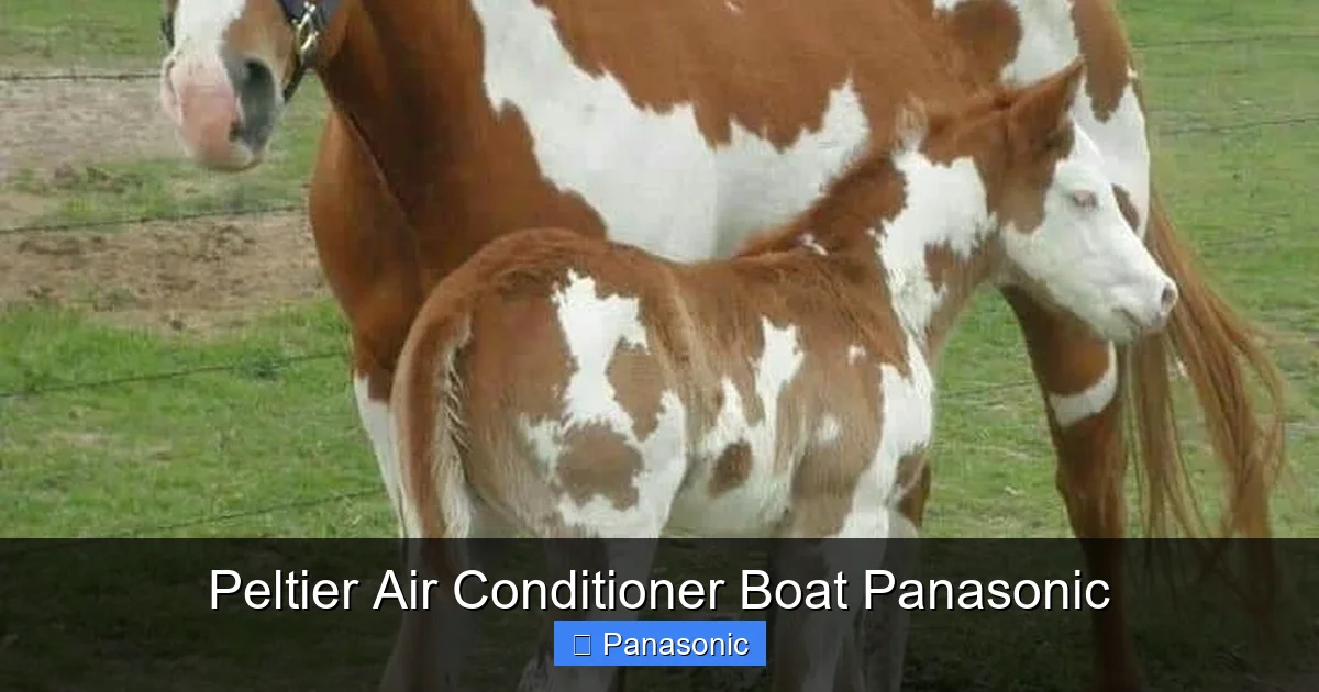 Peltier Air Conditioner Boat Panasonic