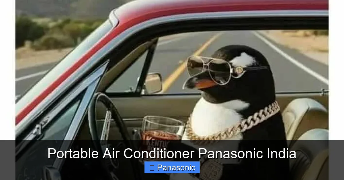 Portable Air Conditioner Panasonic India