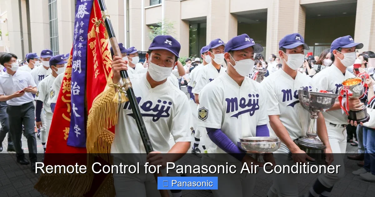 Remote Control for Panasonic Air Conditioner