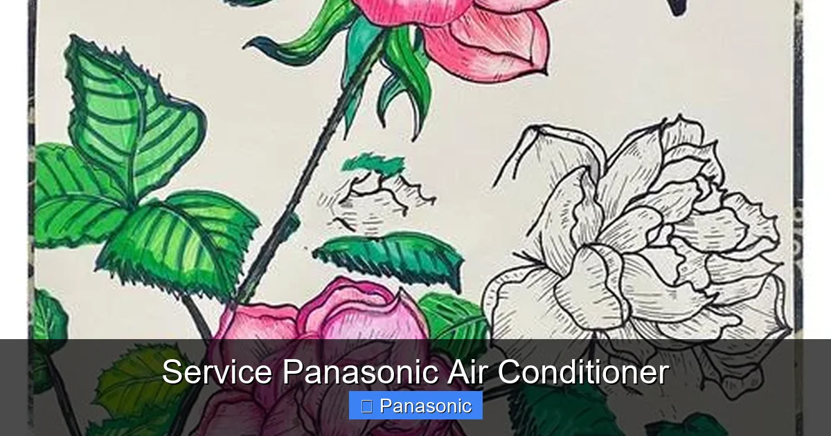 Service Panasonic Air Conditioner
