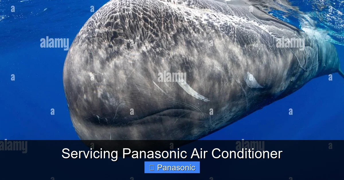 Servicing Panasonic Air Conditioner