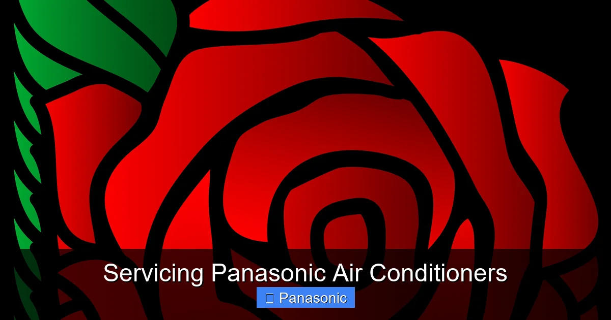 Servicing Panasonic Air Conditioners