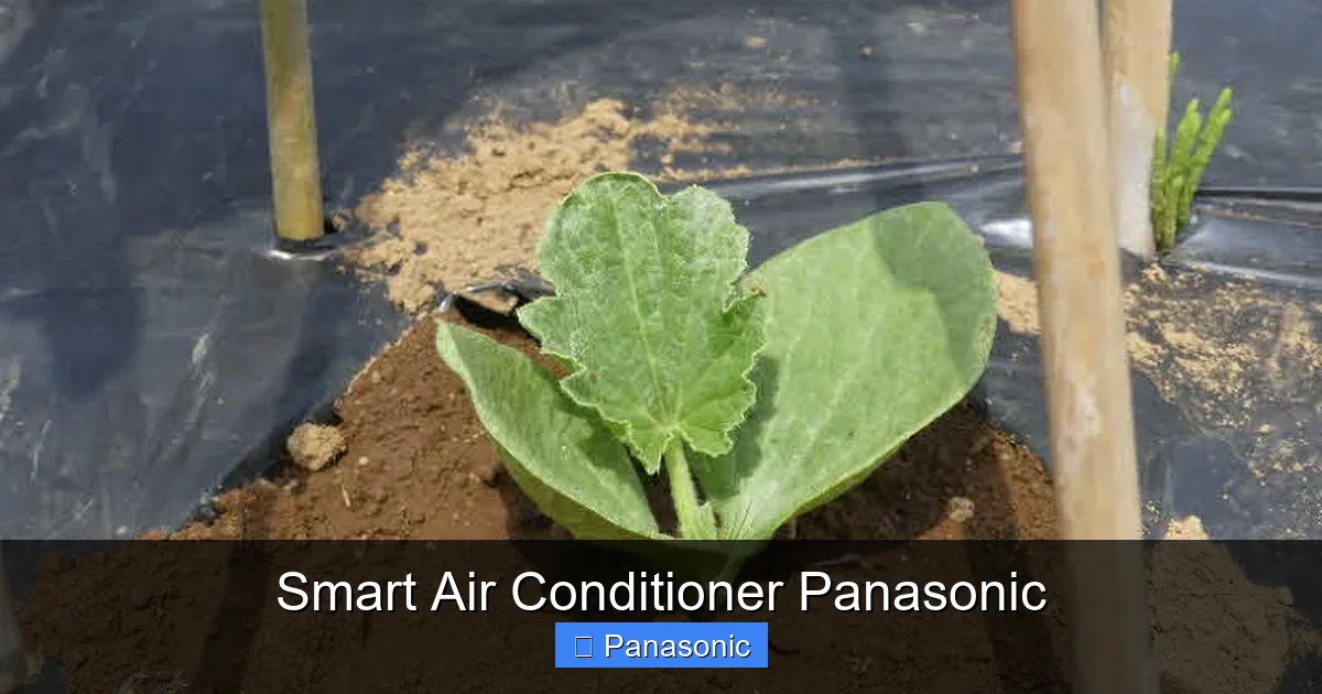 Smart Air Conditioner Panasonic
