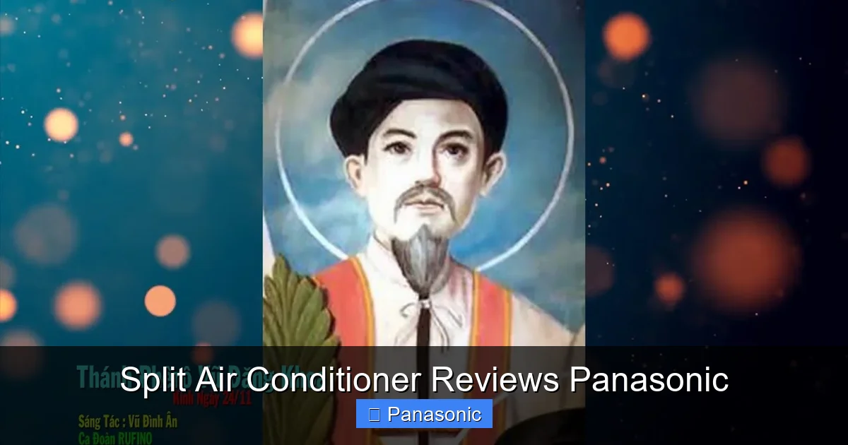 Split Air Conditioner Reviews Panasonic