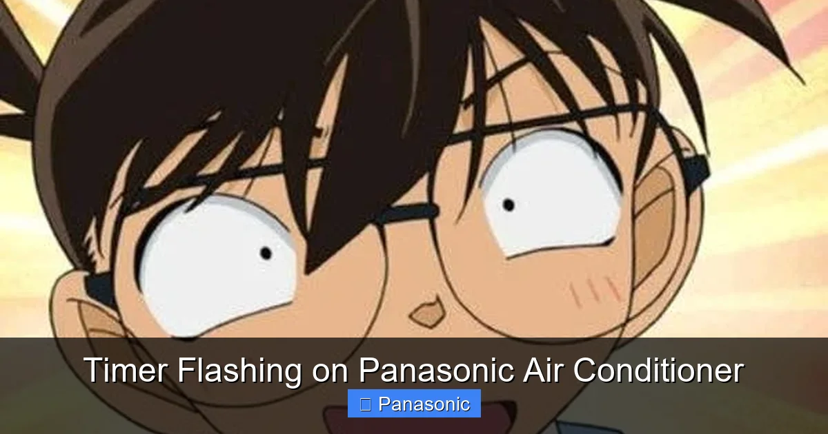 Timer Flashing on Panasonic Air Conditioner