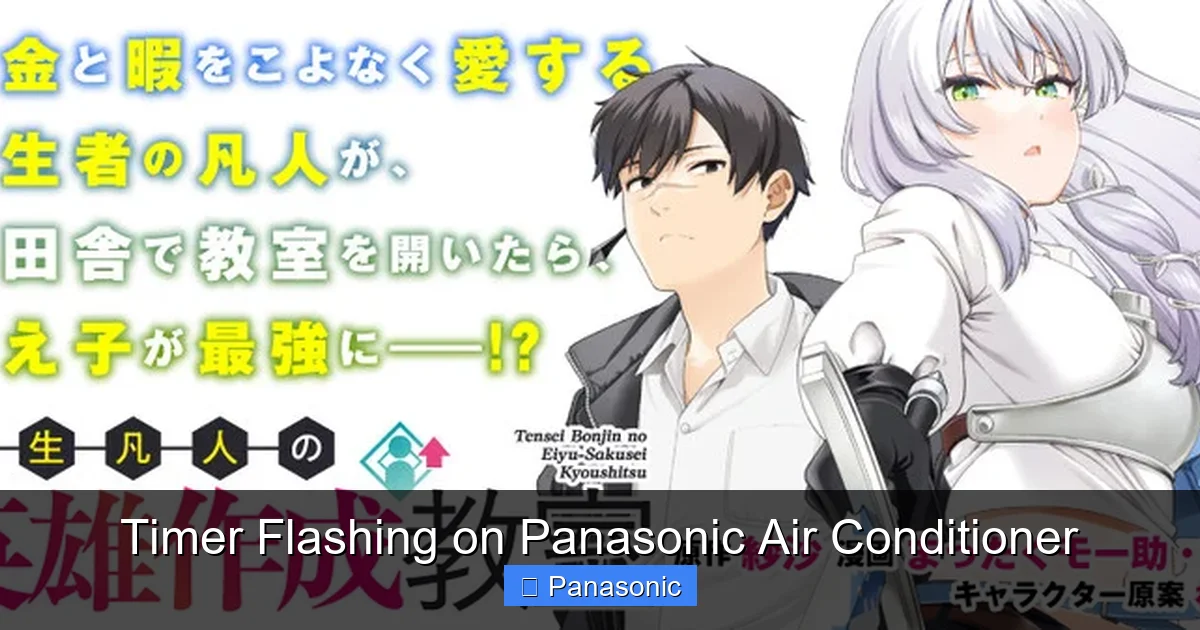 Timer Flashing on Panasonic Air Conditioner