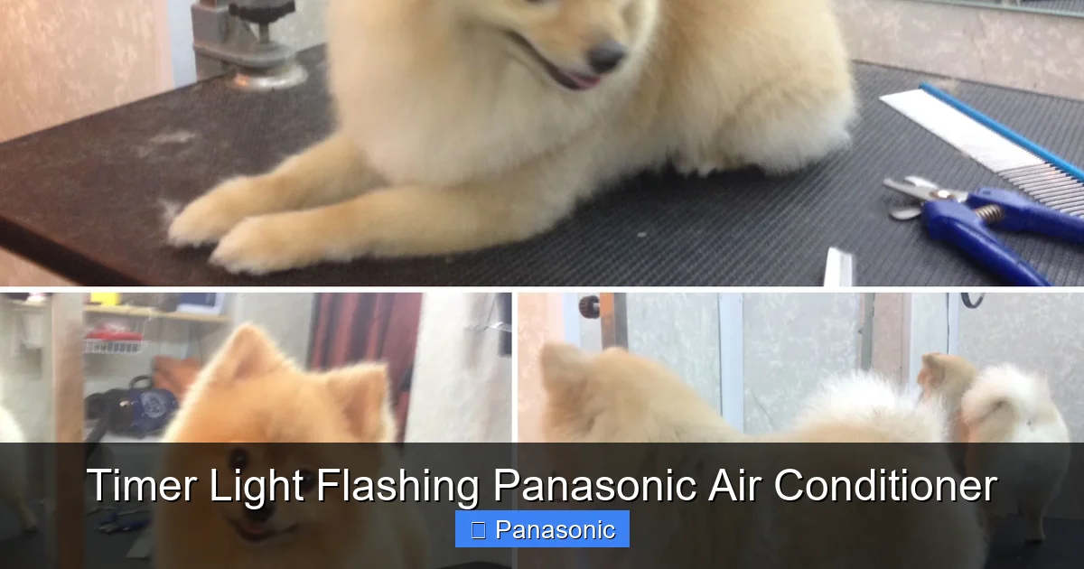 Timer Light Flashing Panasonic Air Conditioner