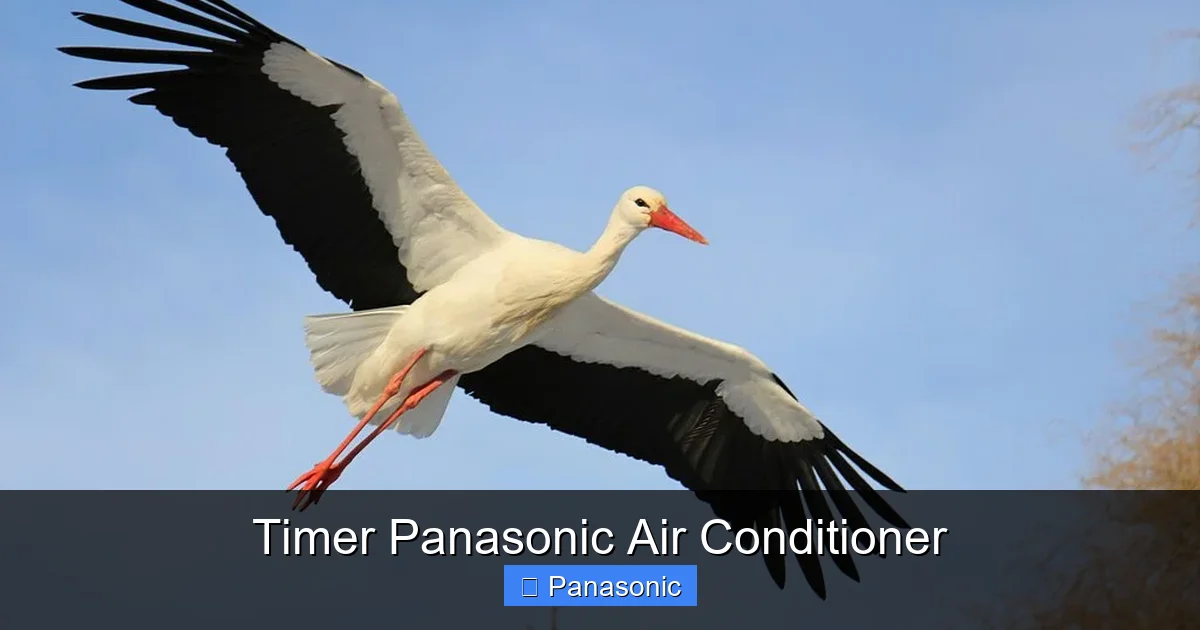 Timer Panasonic Air Conditioner