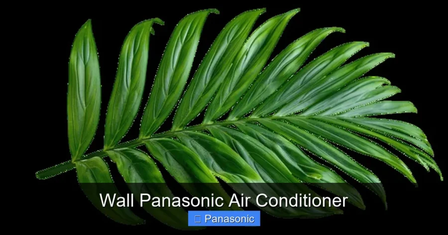 Wall Panasonic Air Conditioner