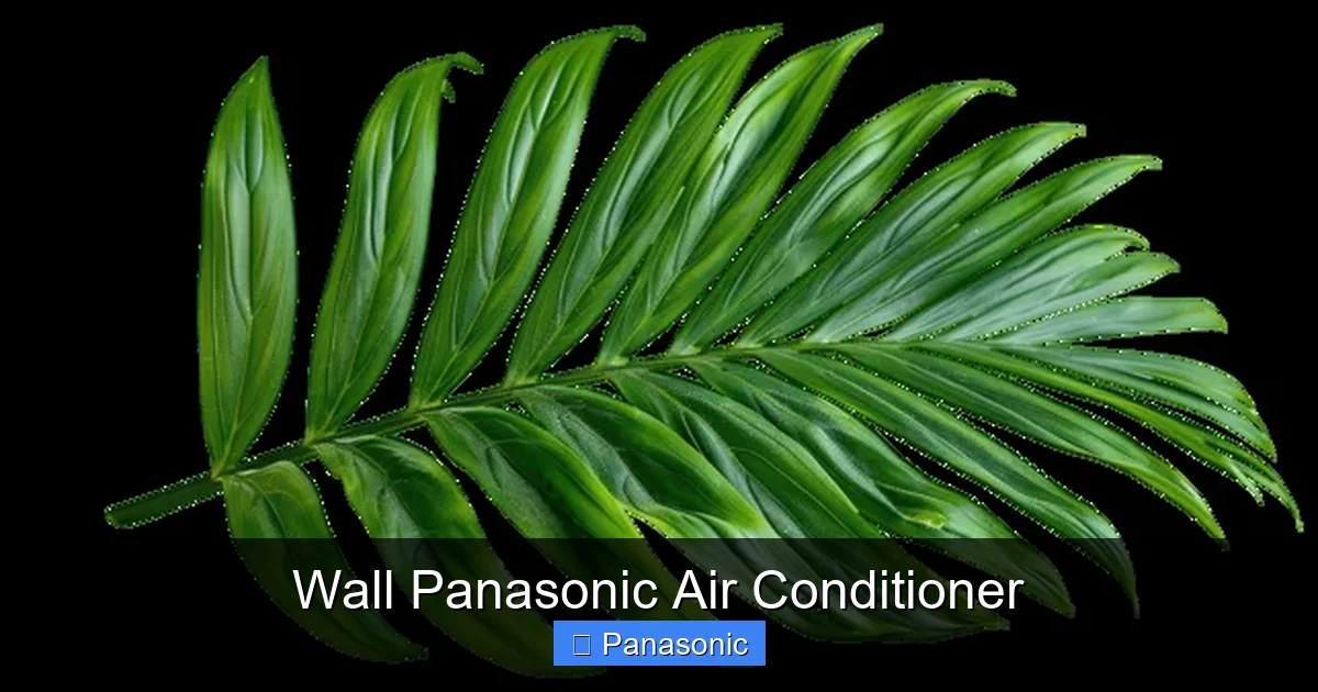 Wall Panasonic Air Conditioner