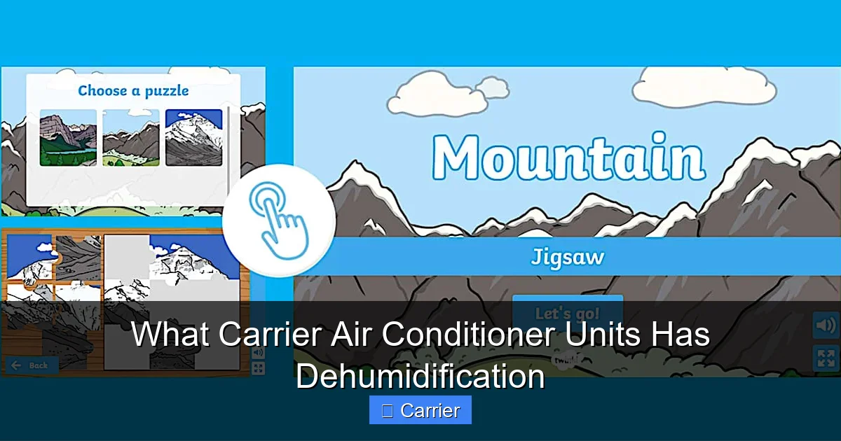 What Carrier Air Conditioner Units Has Dehumidification