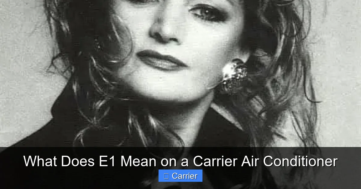 What Does E1 Mean on a Carrier Air Conditioner