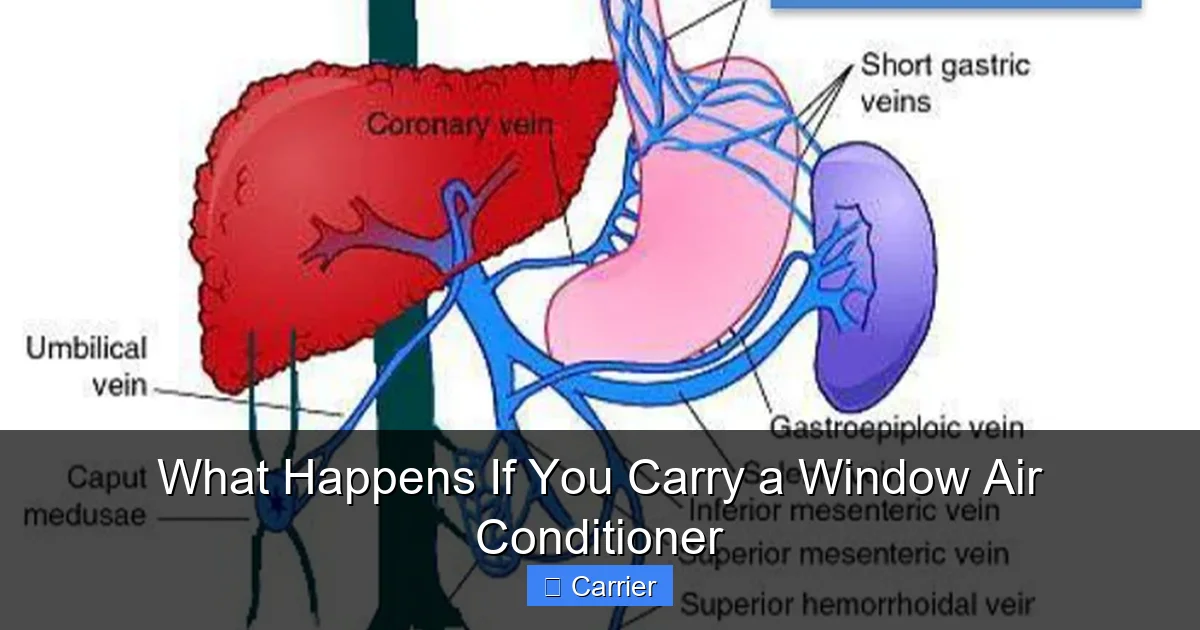 What Happens If You Carry a Window Air Conditioner