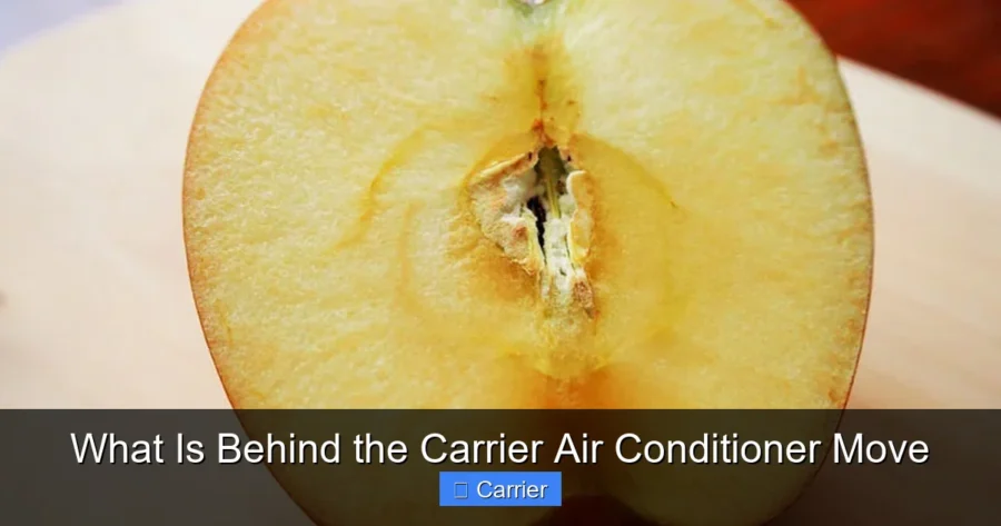 What Is Behind the Carrier Air Conditioner Move