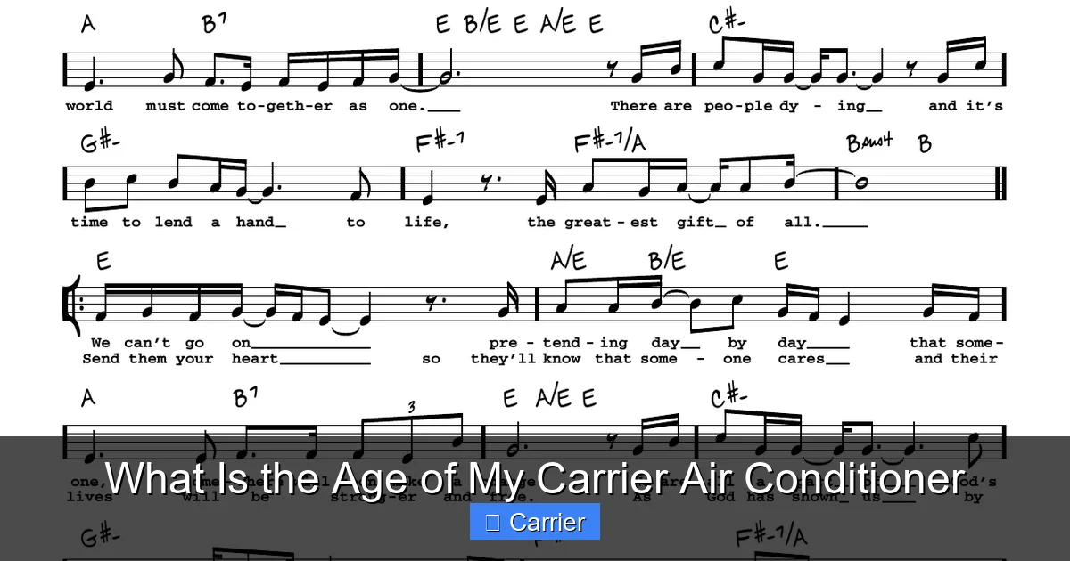 What Is the Age of My Carrier Air Conditioner