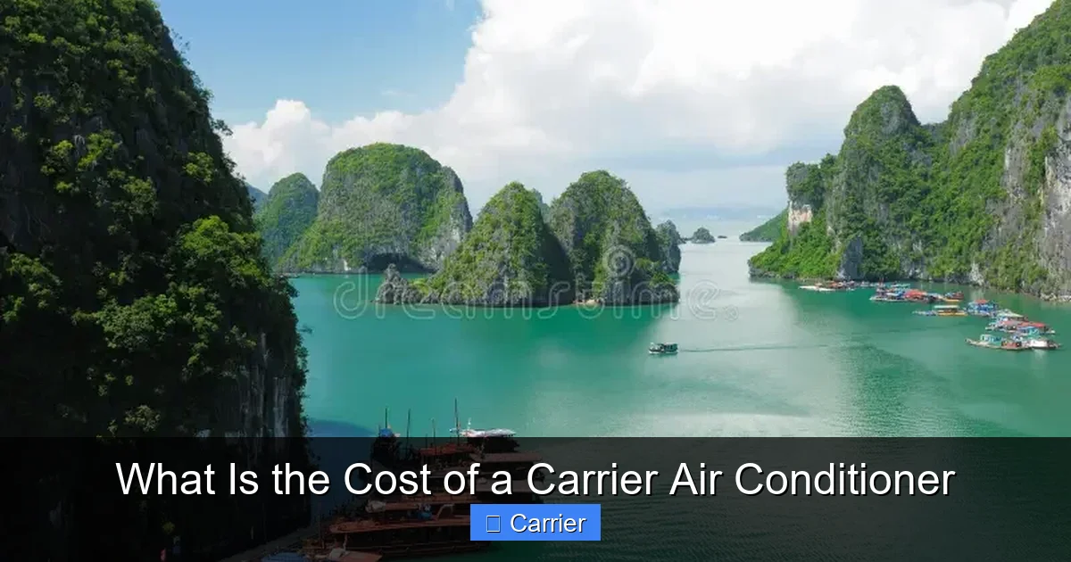 What Is the Cost of a Carrier Air Conditioner