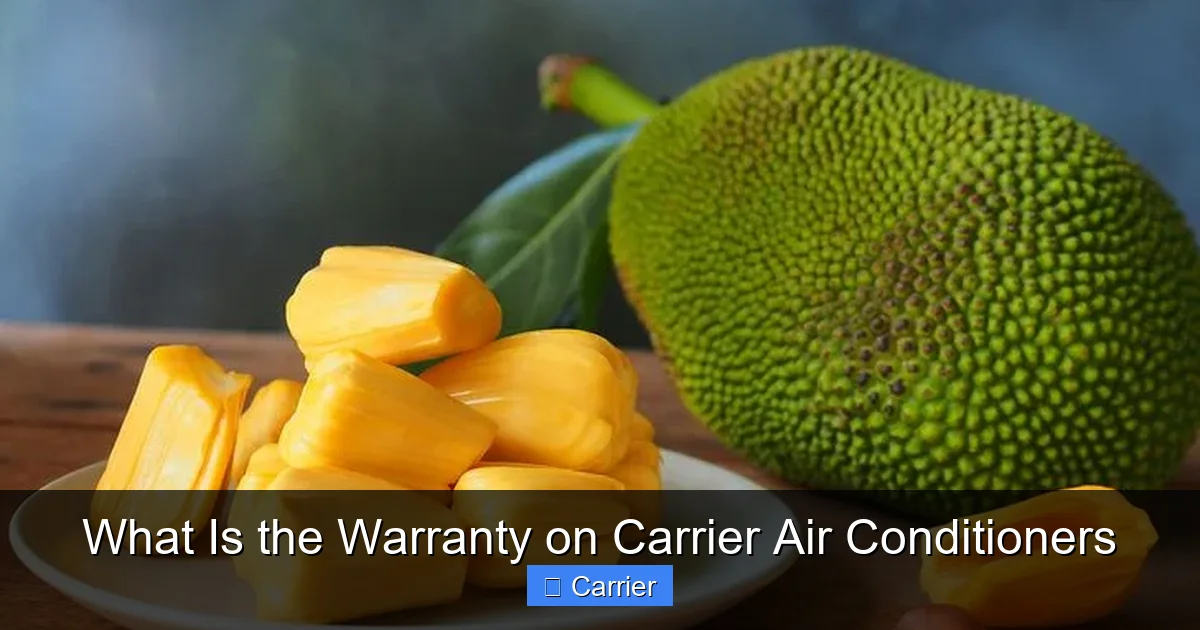 What Is the Warranty on Carrier Air Conditioners