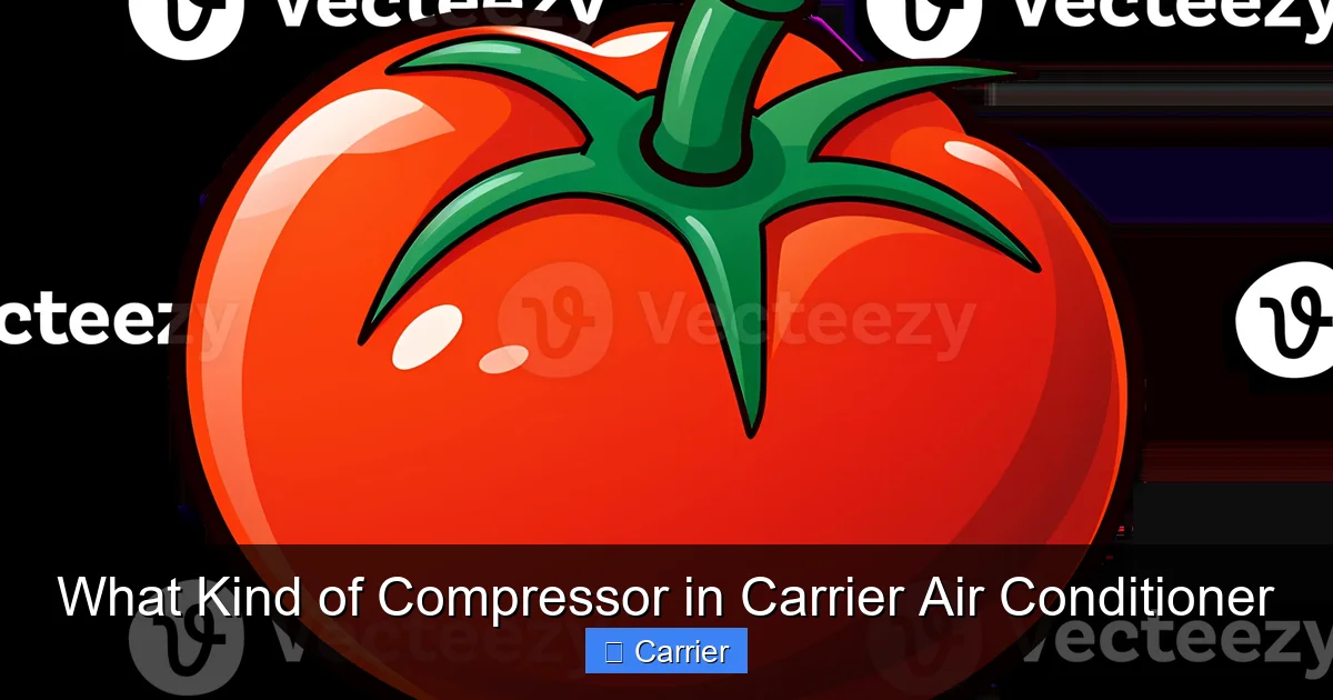 What Kind of Compressor in Carrier Air Conditioner