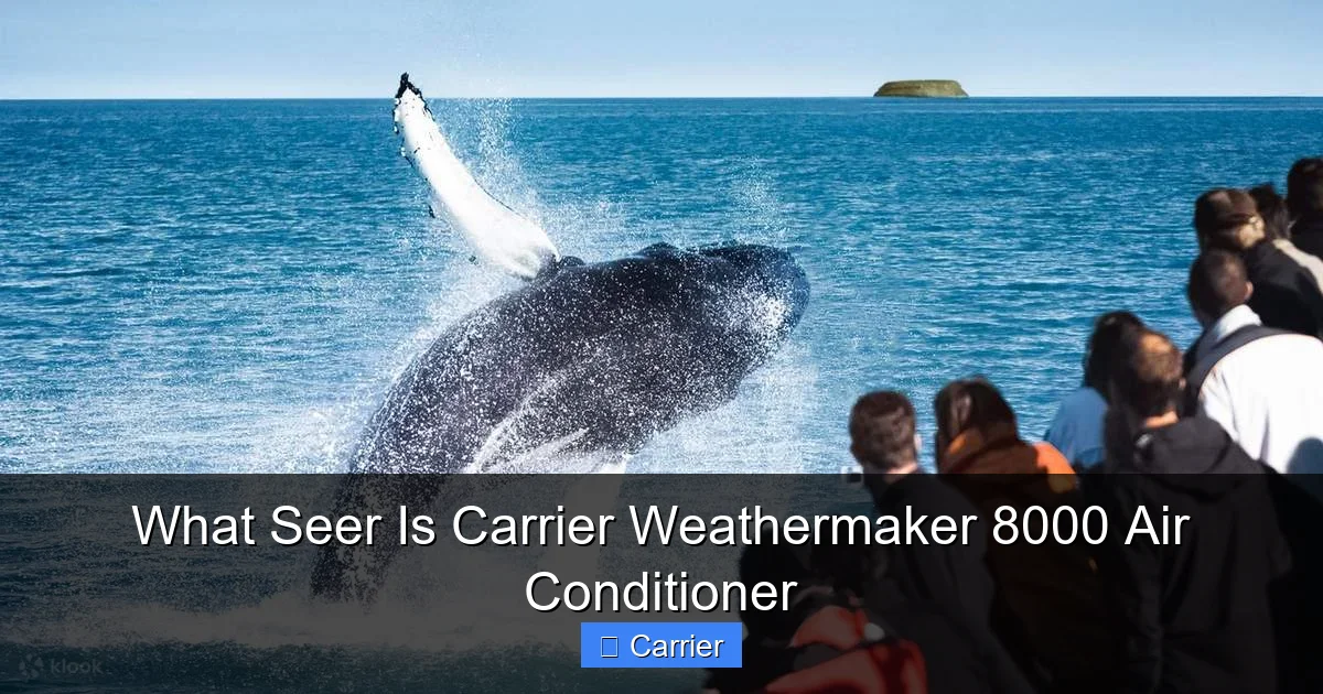 What Seer Is Carrier Weathermaker 8000 Air Conditioner