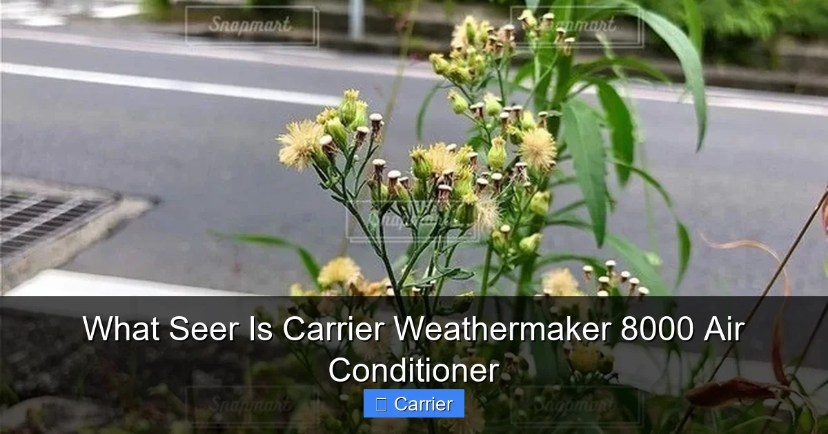 What Seer Is Carrier Weathermaker 8000 Air Conditioner