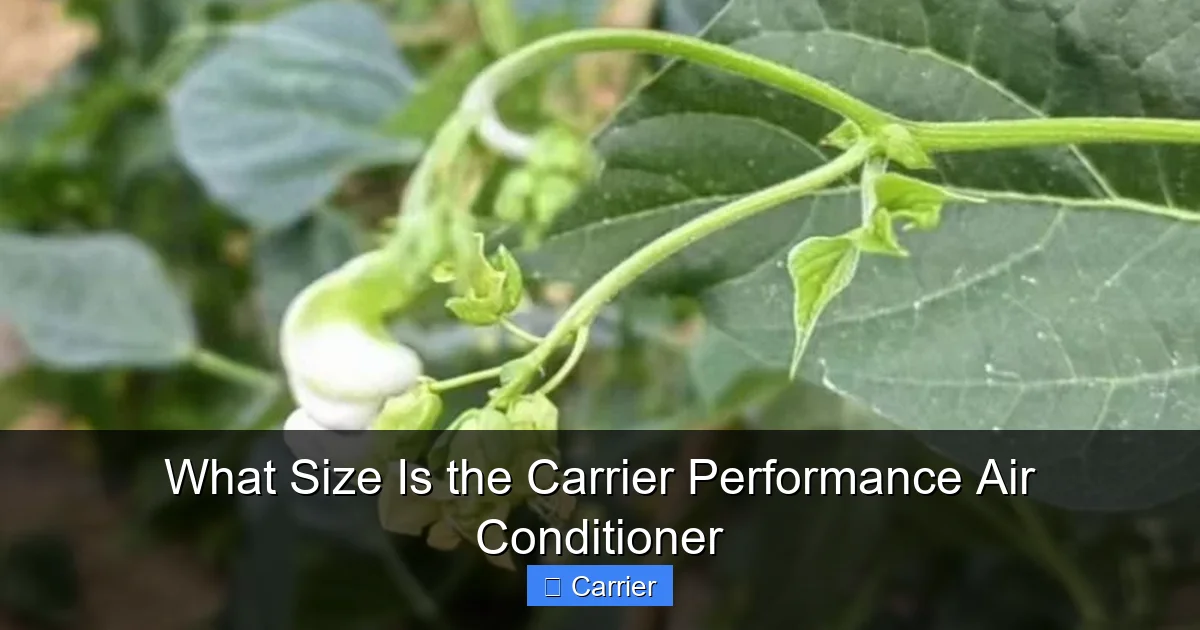 What Size Is the Carrier Performance Air Conditioner