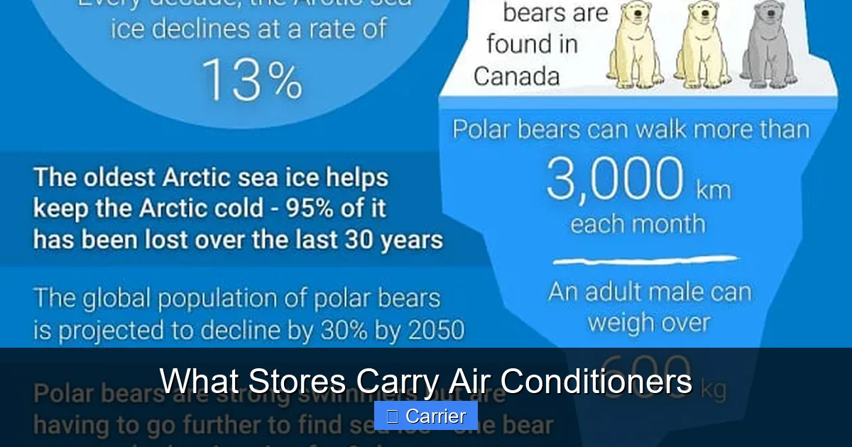 What Stores Carry Air Conditioners
