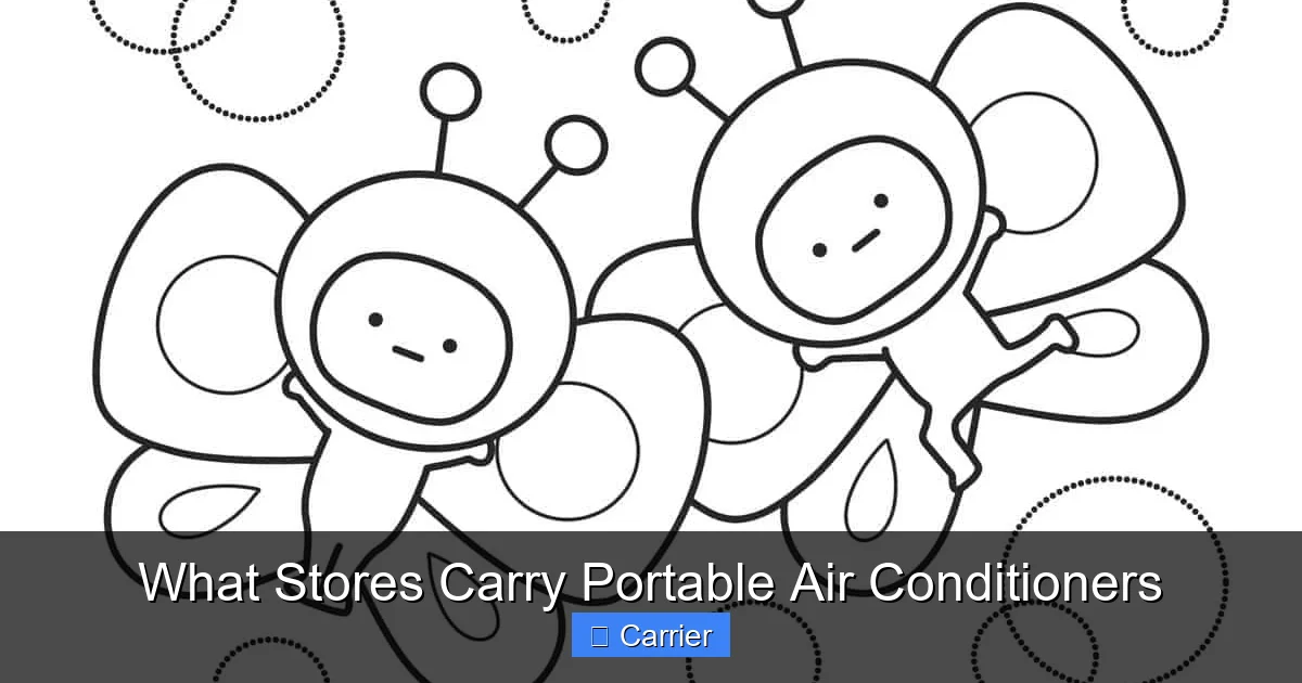 What Stores Carry Portable Air Conditioners