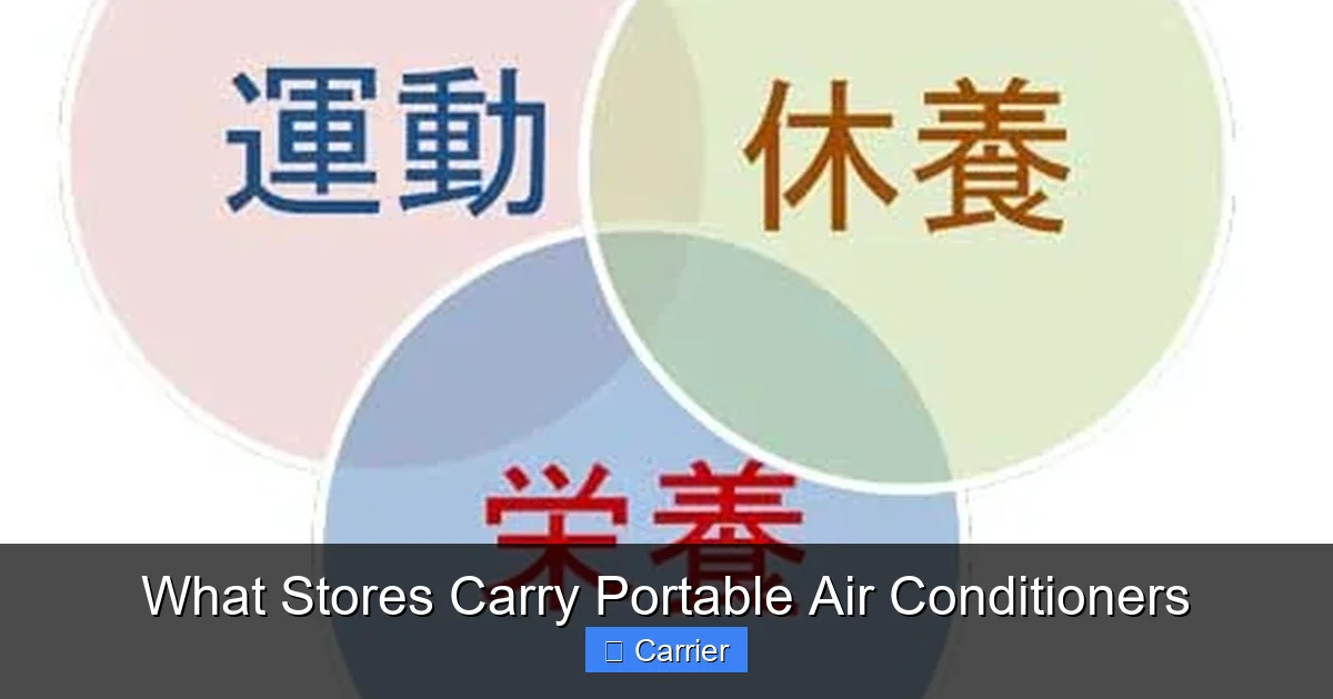 What Stores Carry Portable Air Conditioners