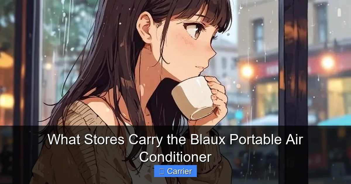 What Stores Carry the Blaux Portable Air Conditioner