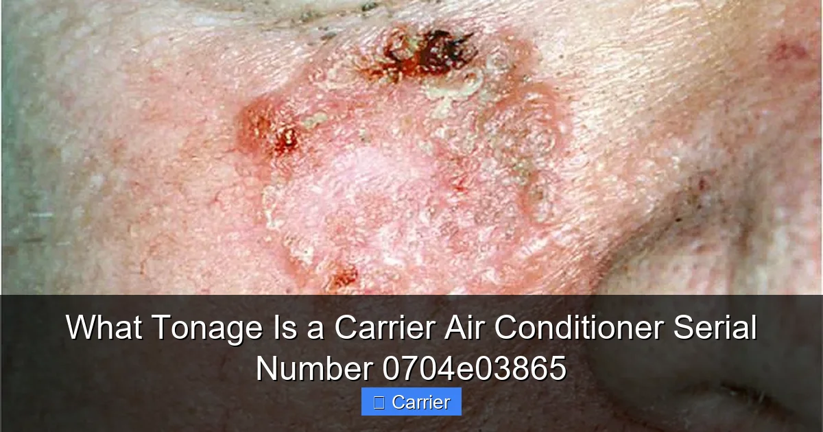 What Tonage Is a Carrier Air Conditioner Serial Number 0704e03865
