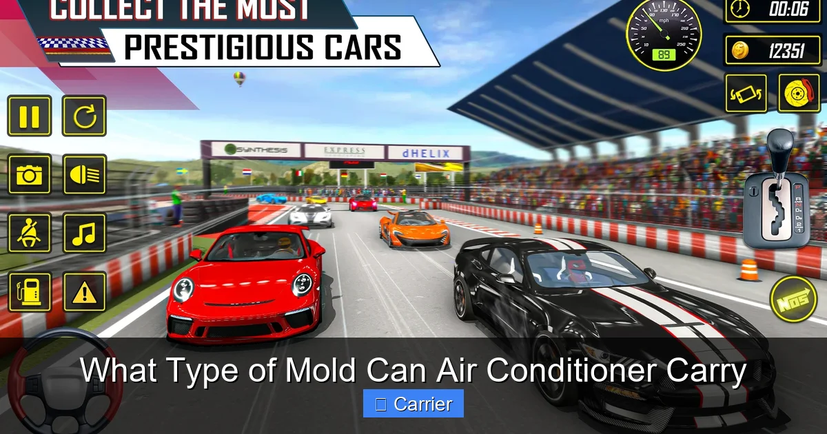 What Type of Mold Can Air Conditioner Carry