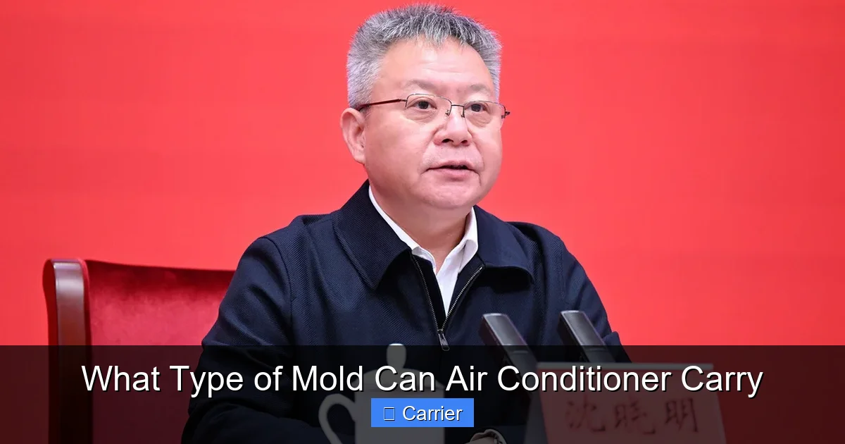 What Type of Mold Can Air Conditioner Carry