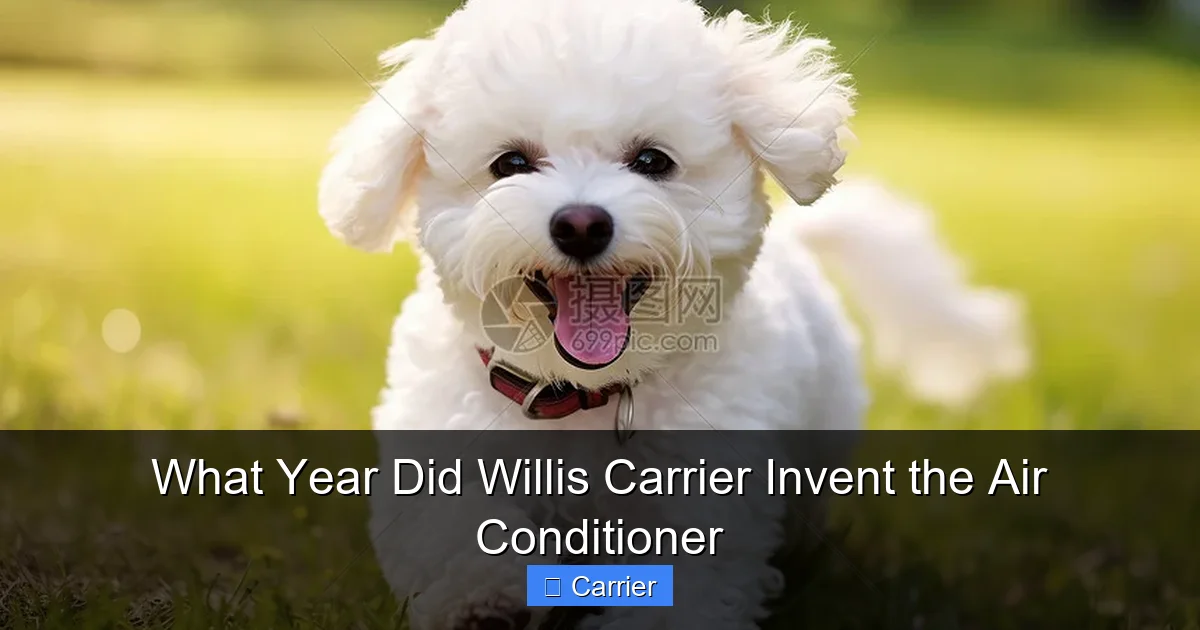 What Year Did Willis Carrier Invent the Air Conditioner