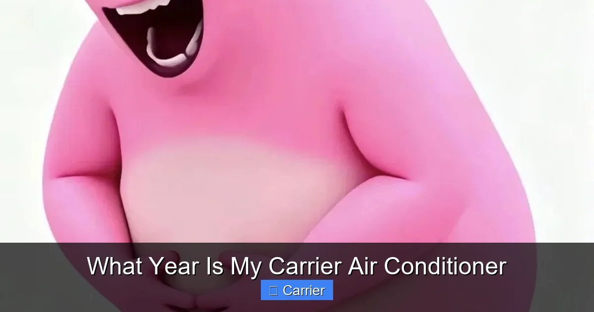 What Year Is My Carrier Air Conditioner