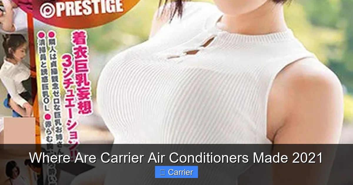Where Are Carrier Air Conditioners Made 2021