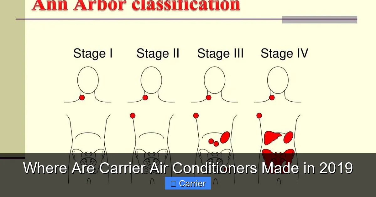 Where Are Carrier Air Conditioners Made in 2019