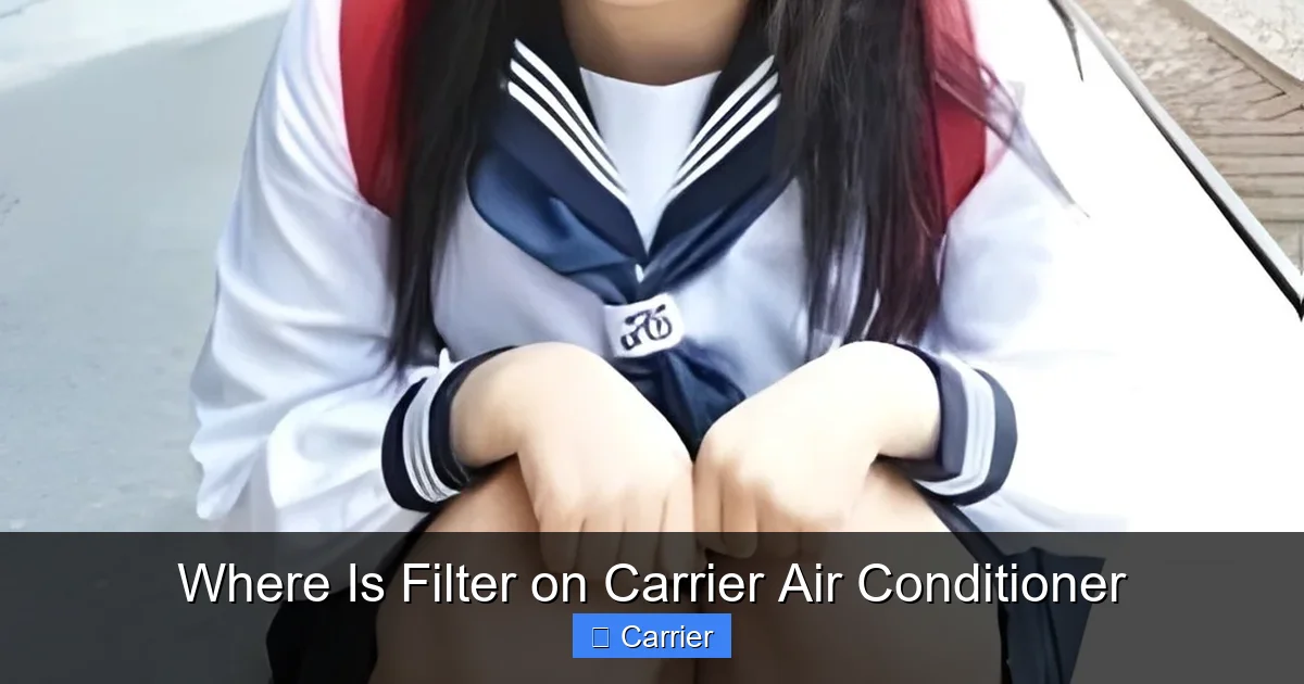 Where Is Filter on Carrier Air Conditioner