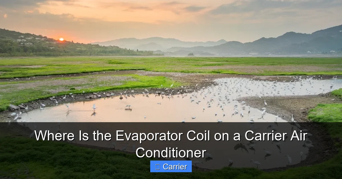Where Is the Evaporator Coil on a Carrier Air Conditioner