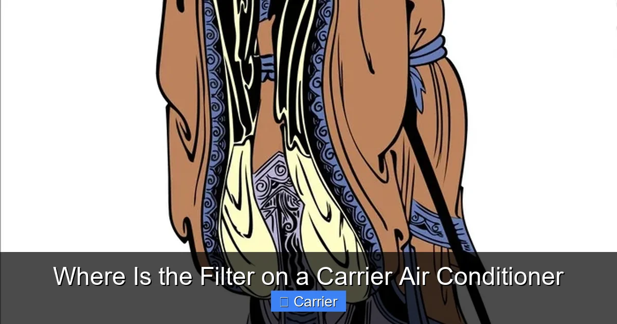 Where Is the Filter on a Carrier Air Conditioner