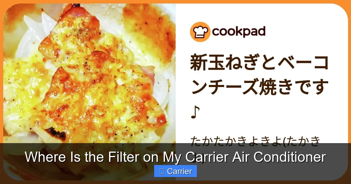 Where Is the Filter on My Carrier Air Conditioner