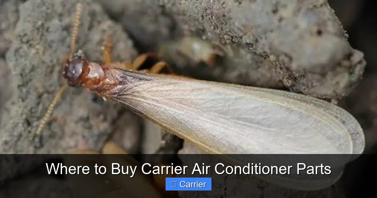 Where to Buy Carrier Air Conditioner Parts