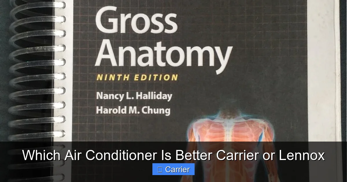 Which Air Conditioner Is Better Carrier or Lennox