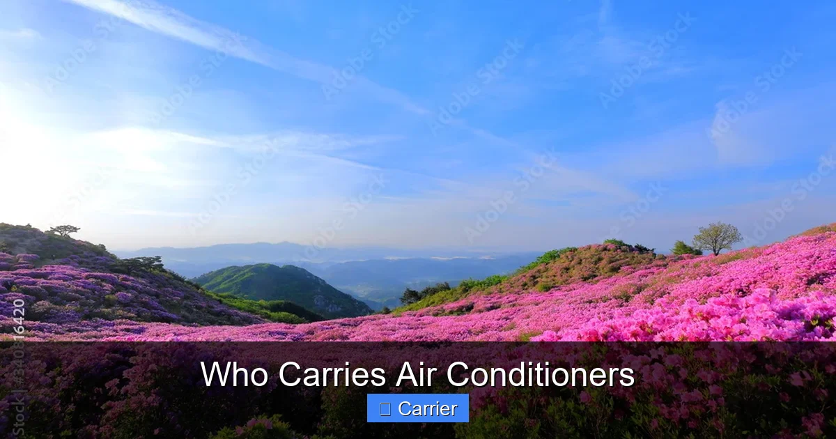 Who Carries Air Conditioners